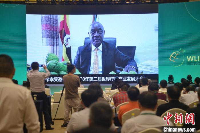 乌干达共和国副总统爱德华·基瓦努卡·塞坎迪作视频致辞。　张浪 摄