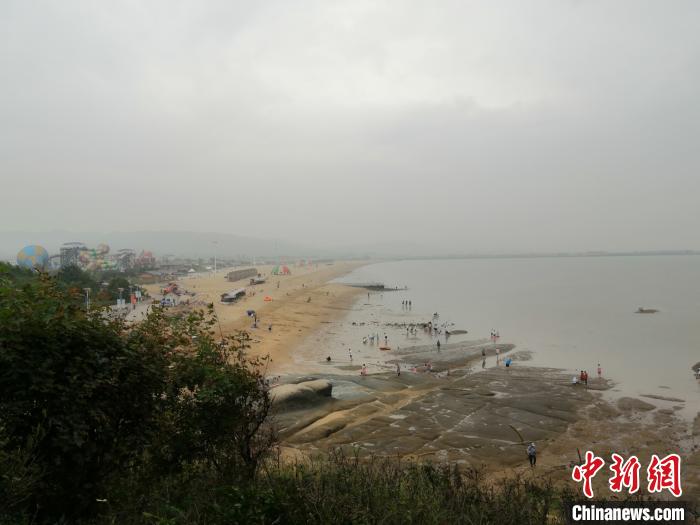26日，众多游客在辽宁团山国家海洋公园雨中赶海。　李晛 摄