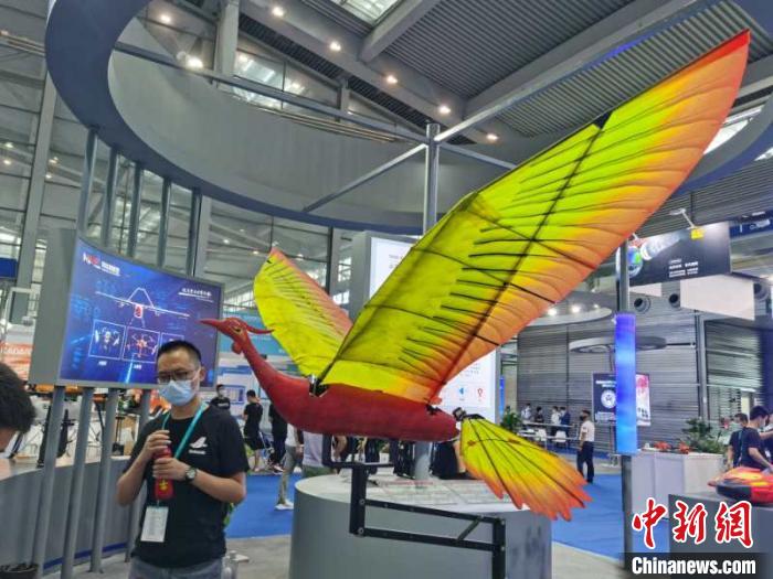 图为哈工大实验室自主研发的大型仿生扑翼无人机 郑小红 摄